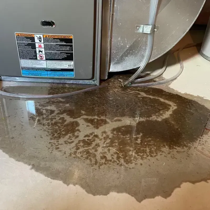 Appliance Leak Cleanup in Peabody, KS